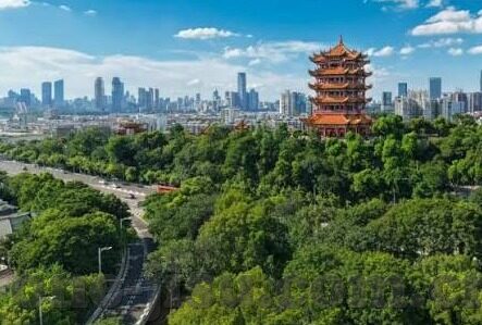 九游游戏中心下载ios-九游游戏中心下载ios，品质游戏的便捷通道