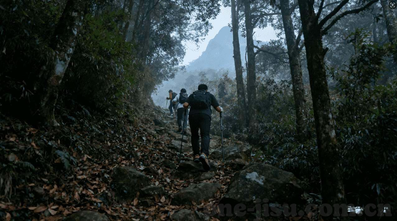 威尼斯人网络网址-威尼斯人网络网址，探索虚拟世界的奇妙之旅