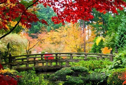 云开全站app登录百家号-重塑云端互动新境界，云开全站APP与百度百家号融合之旅
